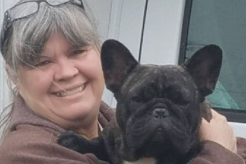 French Bulldog Puppies - Champion Sire breeder image 3