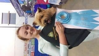 Cairn Terrier Puppies breeder image 6