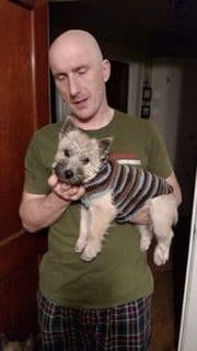 Cairn Terrier Puppies breeder image 11
