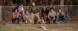Cairn Terrier Puppies breeder image 7
