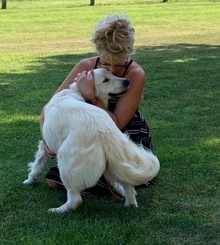 Golden Retriever Puppies breeder image 17