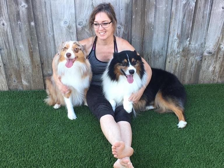AKC ASCA Australian Shepherd Puppies breeder image 1