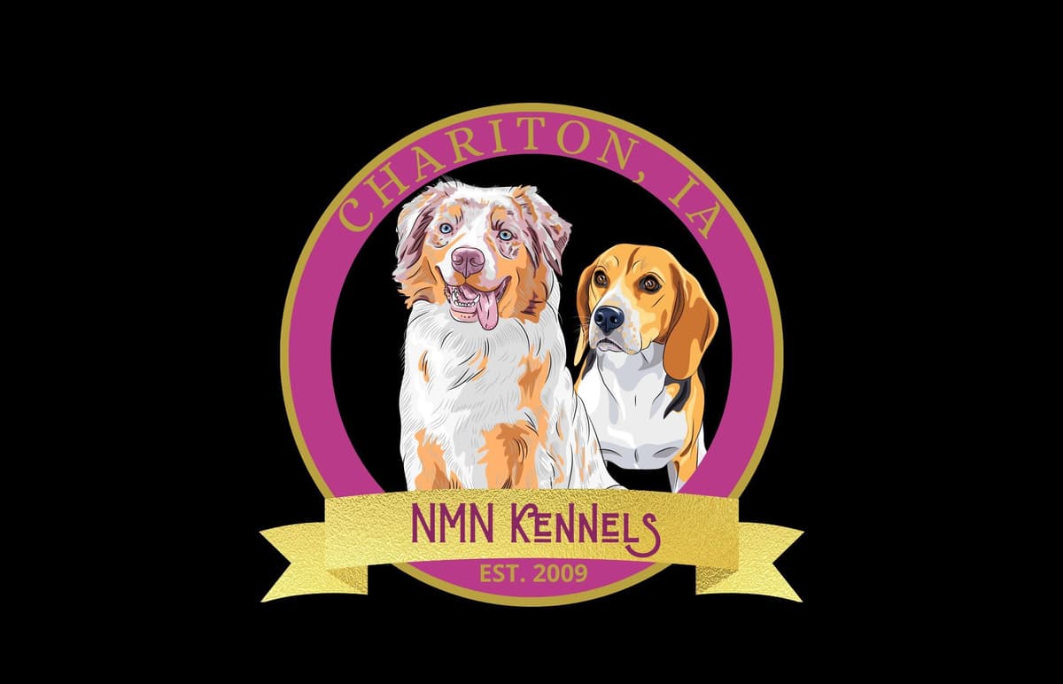 Beagle Puppies breeder image 1
