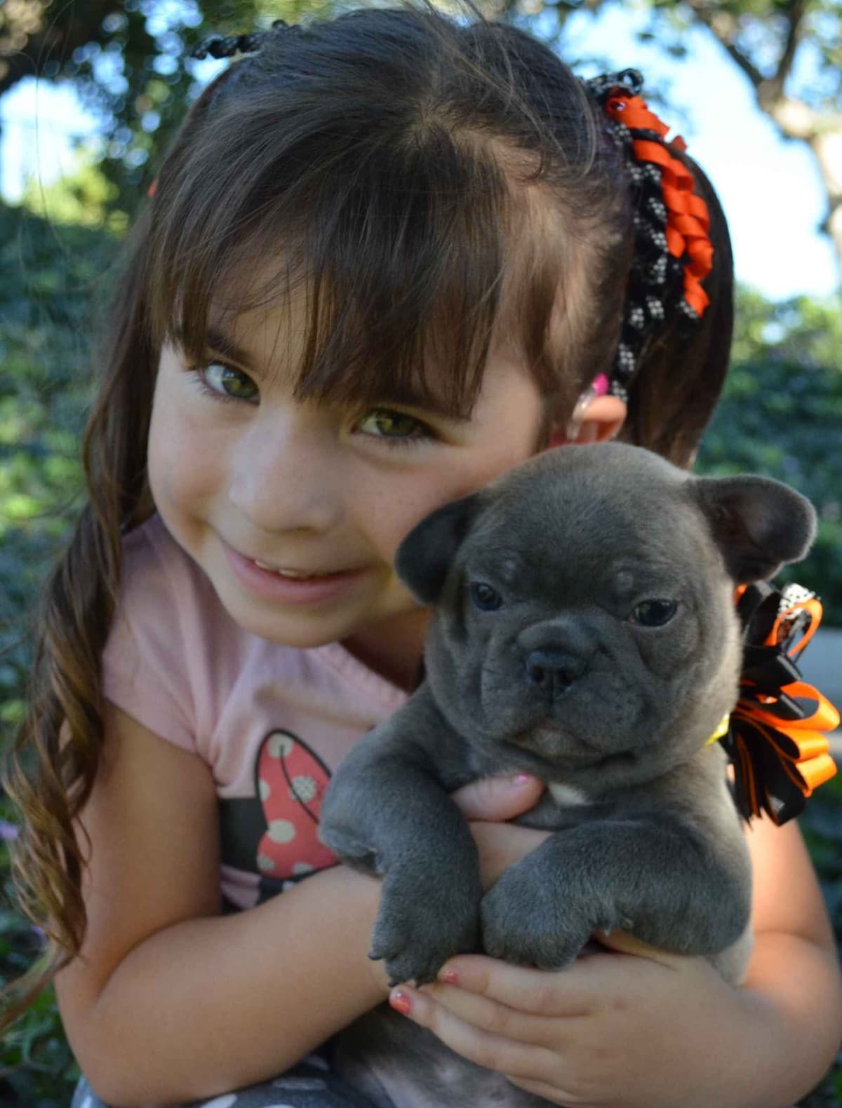 French Bulldog Puppies breeder image 16