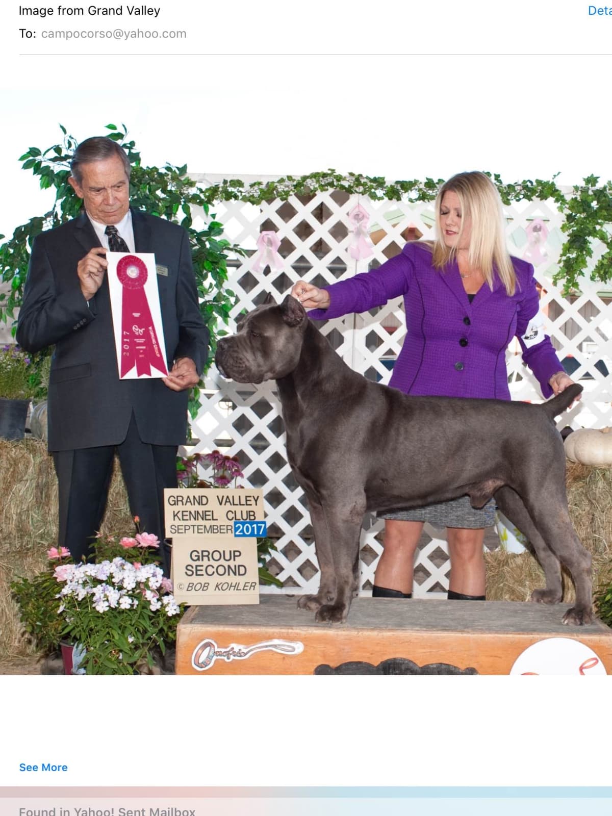 First ever Eukanuba Nationals Cane Corso. Breed winner Preservation br breeder image 12