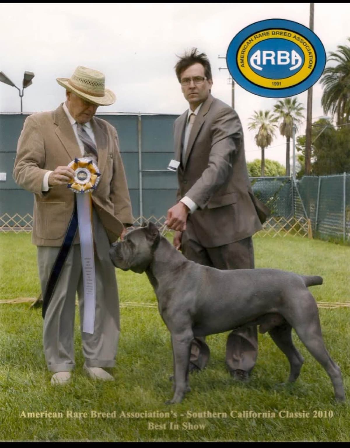 First ever Eukanuba Nationals Cane Corso. Breed winner Preservation br breeder image 17