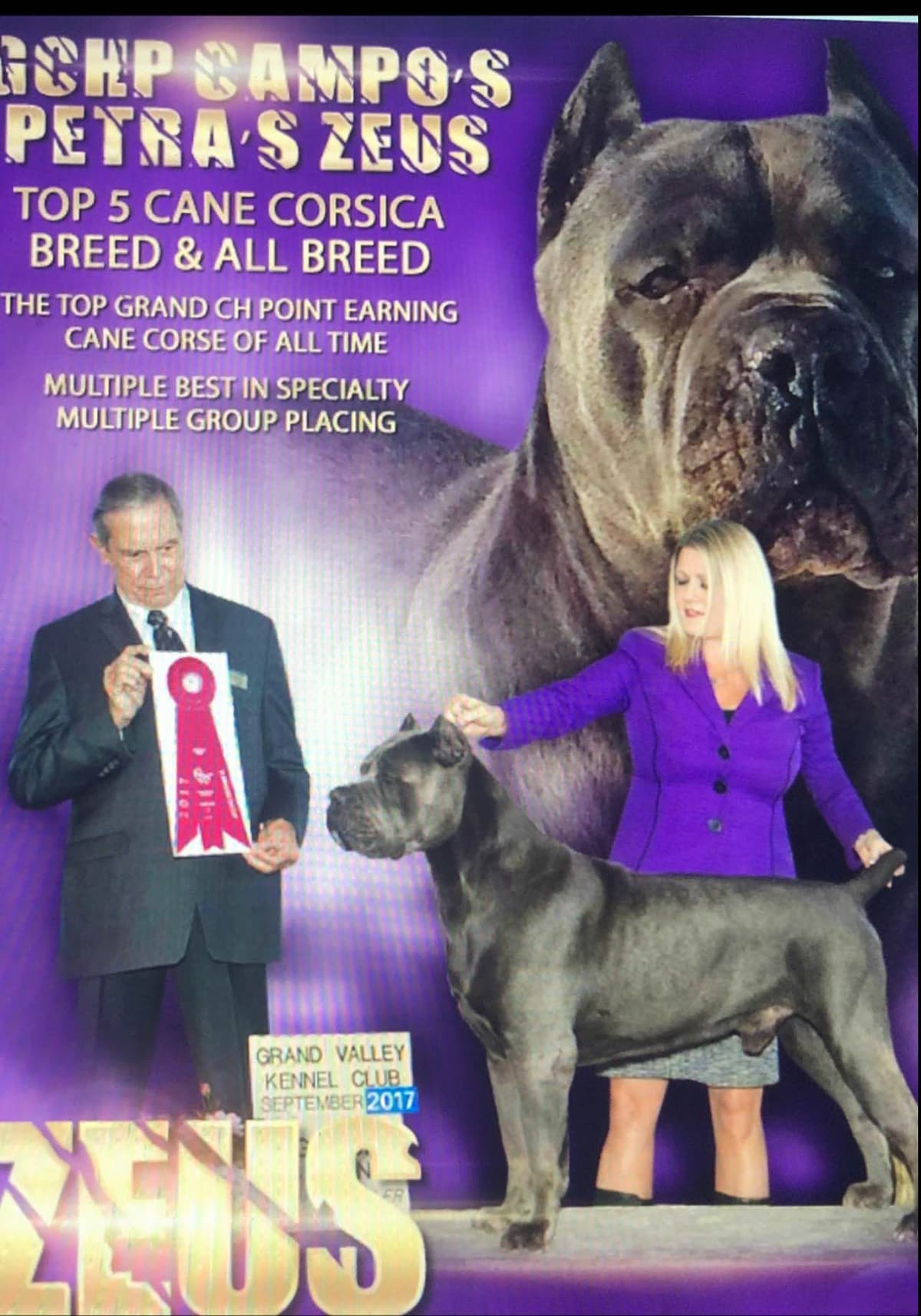 First ever Eukanuba Nationals Cane Corso. Breed winner Preservation br breeder image 22