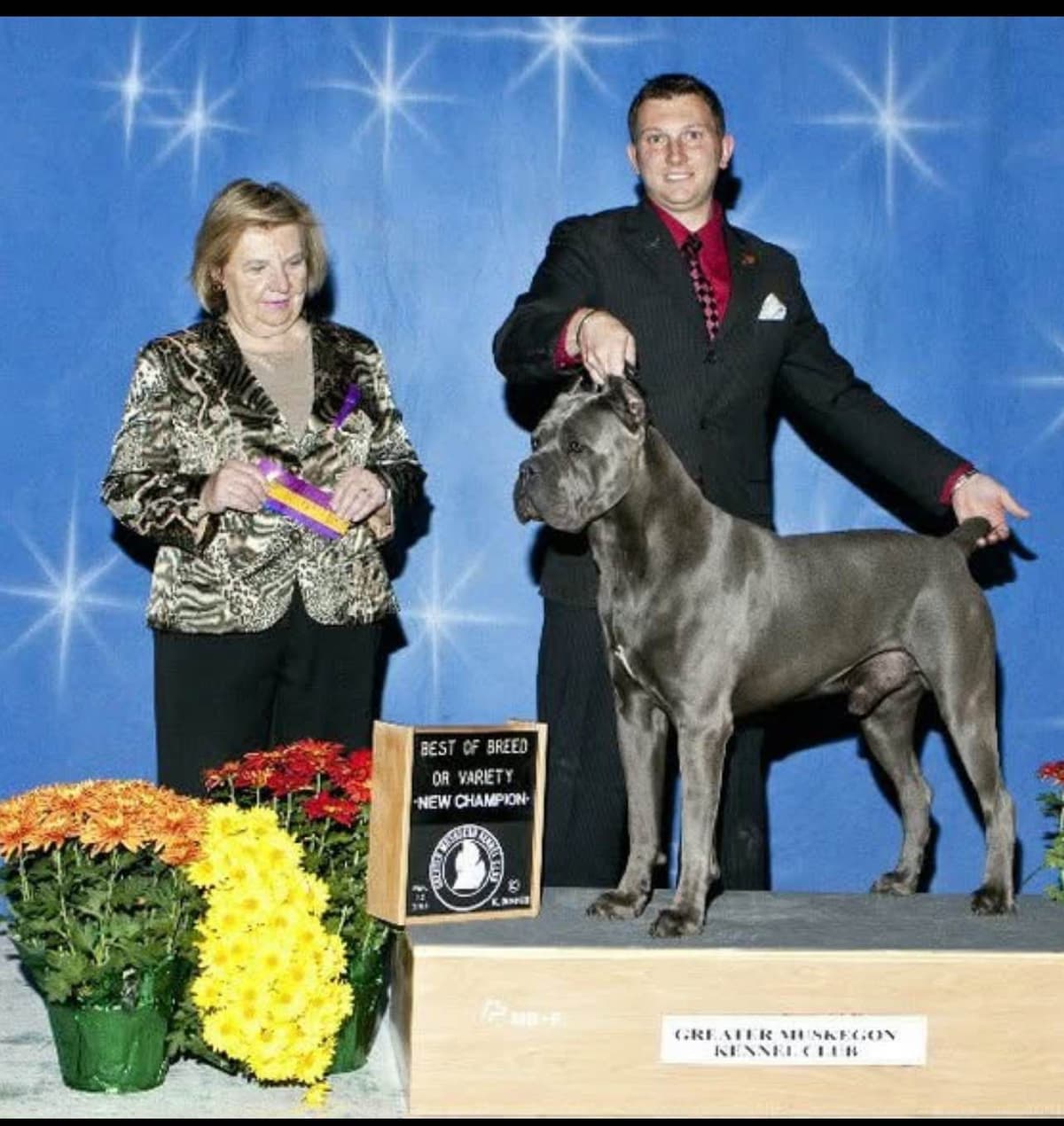 First ever Eukanuba Nationals Cane Corso. Breed winner Preservation br breeder image 23