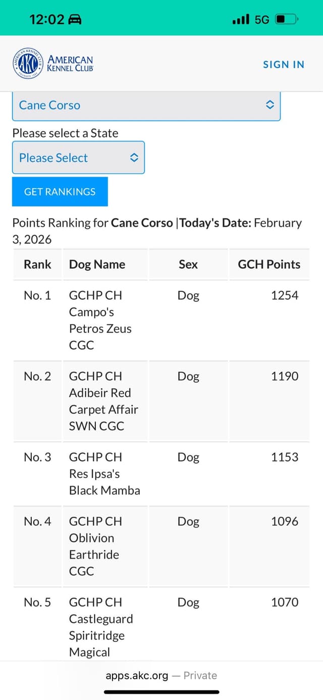 First ever Eukanuba Nationals Cane Corso. Breed winner Preservation br media 20