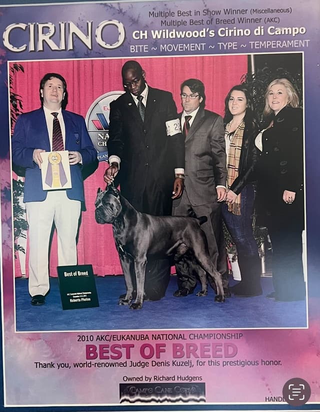 Sire of all time winner in AKC history  Campo’s Petros Zeus media 11
