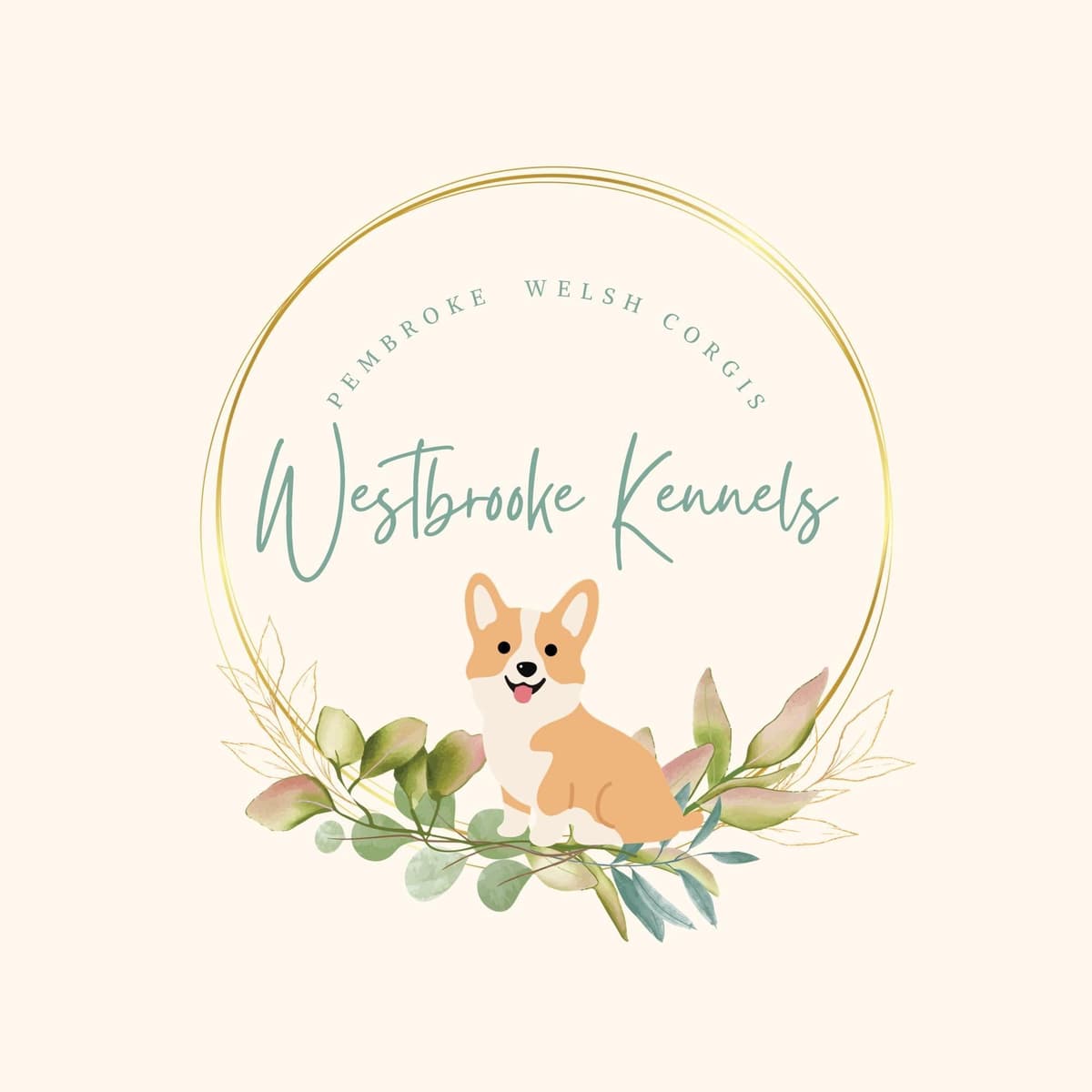 Pembroke Welsh Corgi Puppies breeder image 1