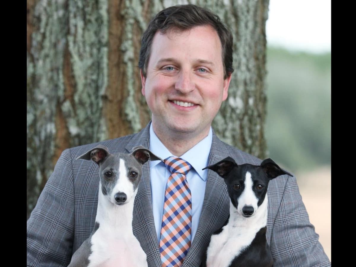 Whippet Puppies Available to Approved Homes breeder image 8