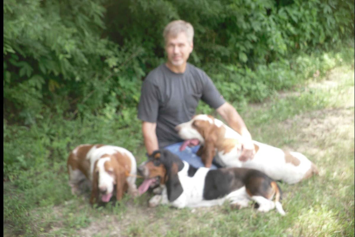 Basset Hound Puppies breeder image 1