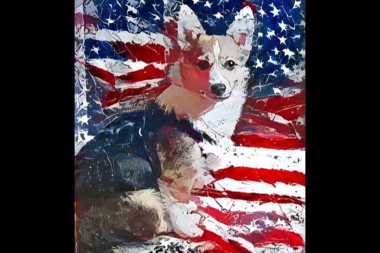 Pembroke Welsh Corgi Puppies breeder image 3