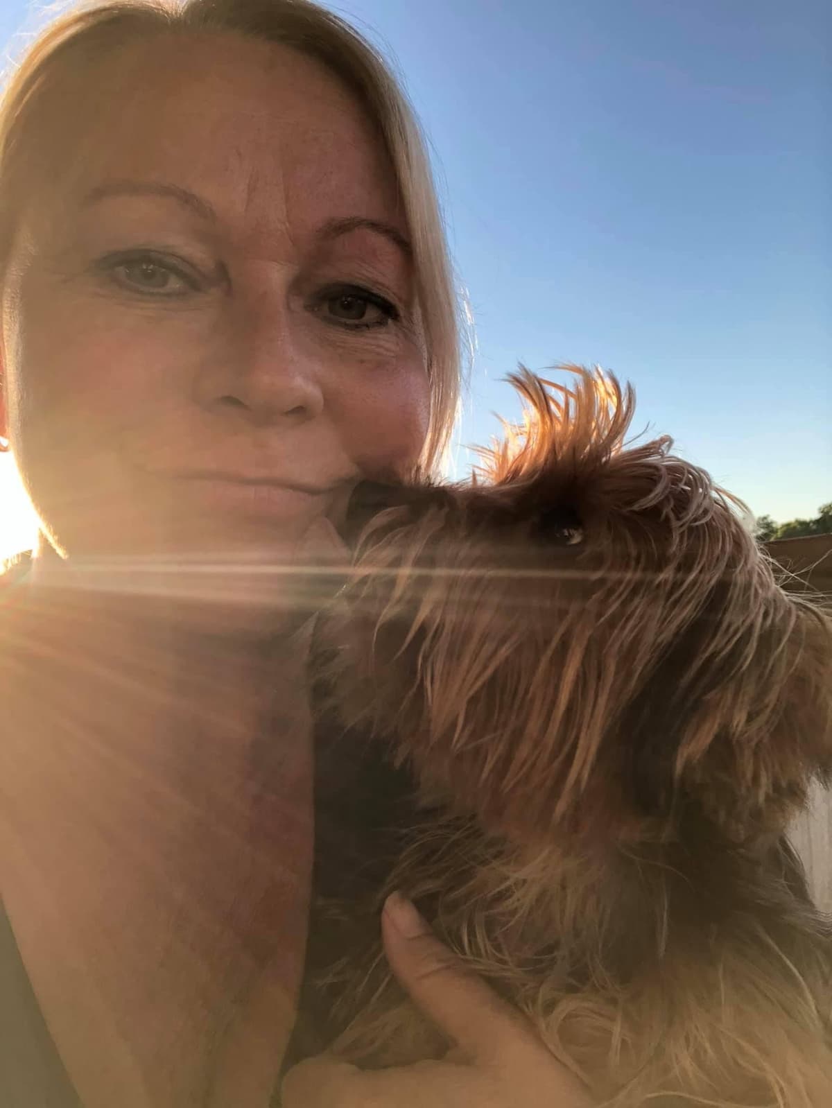 Yorkshire Terrier Puppies breeder image 8