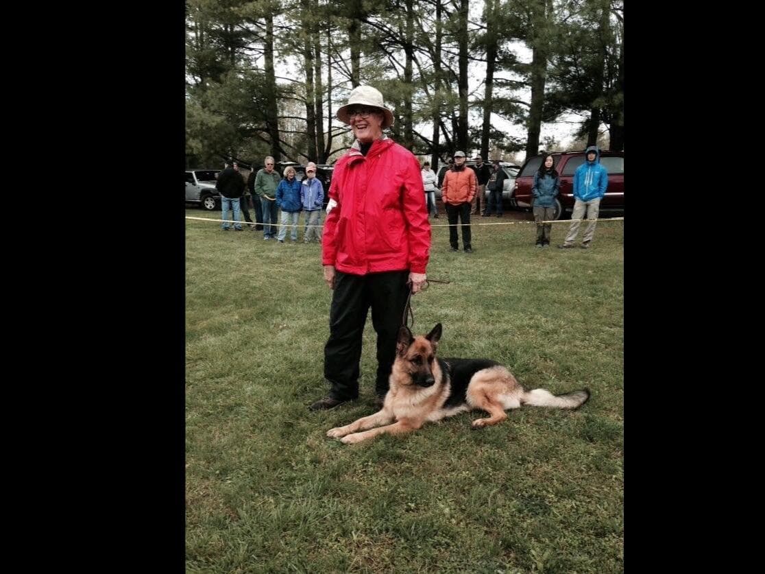 German Shepherd Dog Puppies breeder image 4