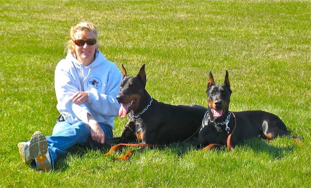 Doberman Pinscher Puppies media 10