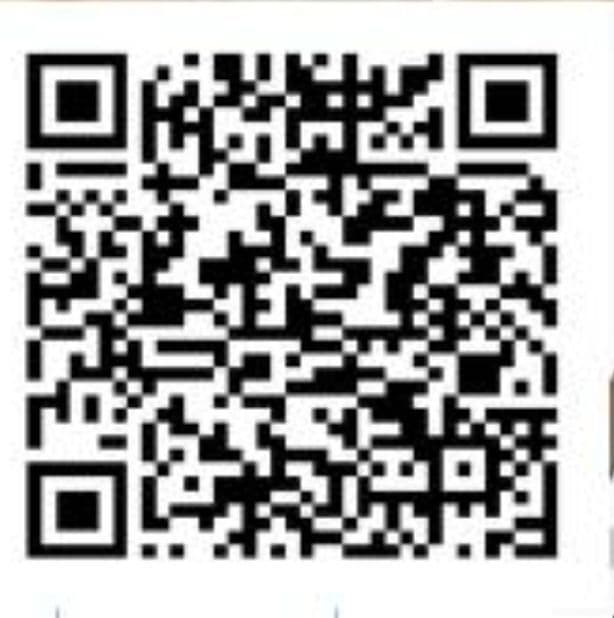 French Bulldog adorable Brindle Female media 15