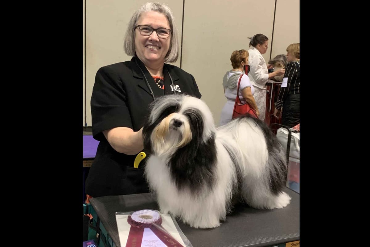 Havanese Puppies breeder image 4