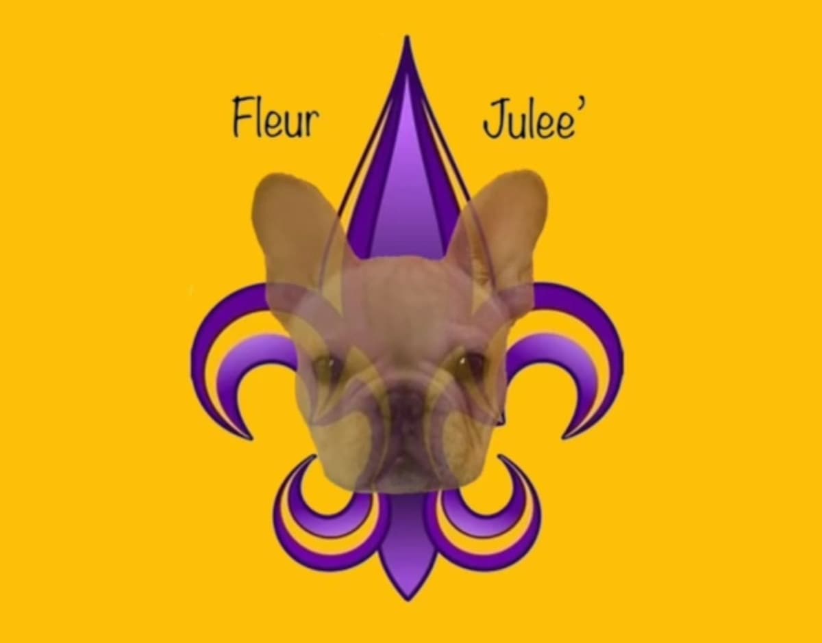 French Bulldog Puppies breeder image 1