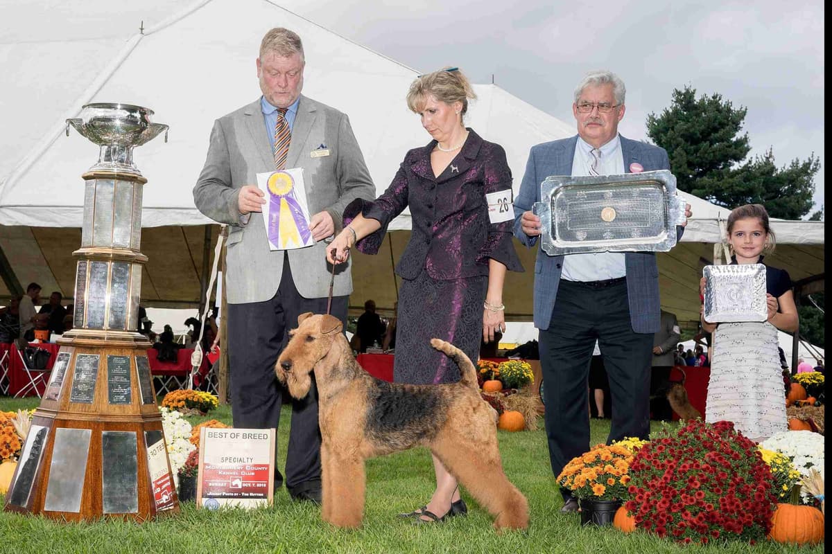 JOVAL Brussels Griffon Puppies breeder image 7