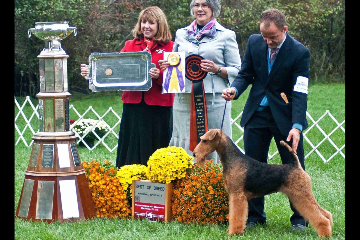 JOVAL Brussels Griffon Puppies breeder image 17
