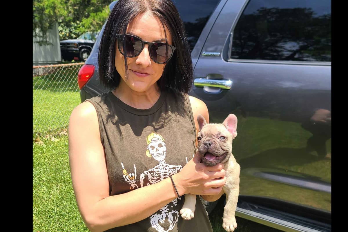 Most Beautiful French Bulldogs breeder image 4