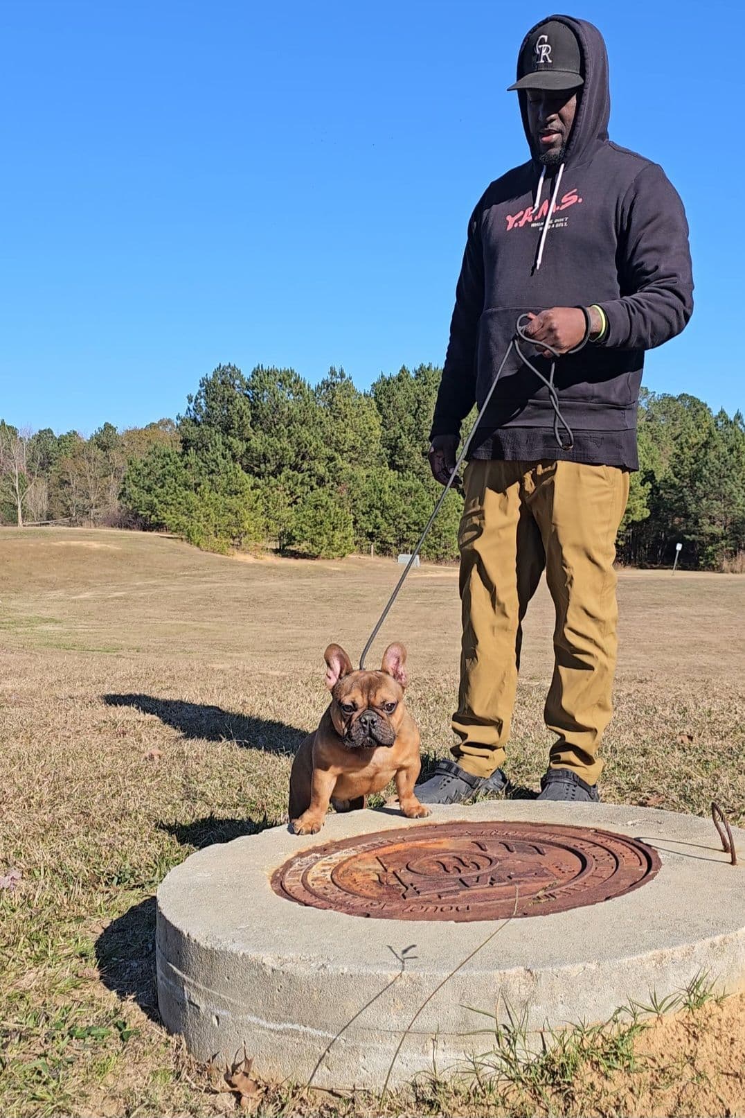 Most Beautiful French Bulldogs breeder image 15