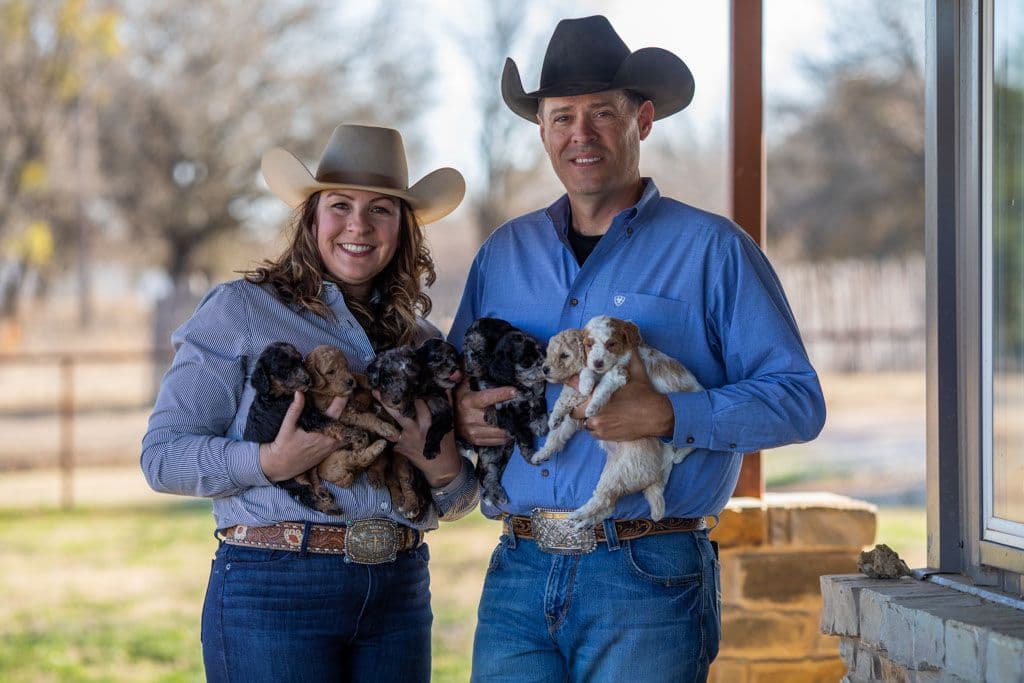 Moyen Poodle Puppies in Texas breeder image 9