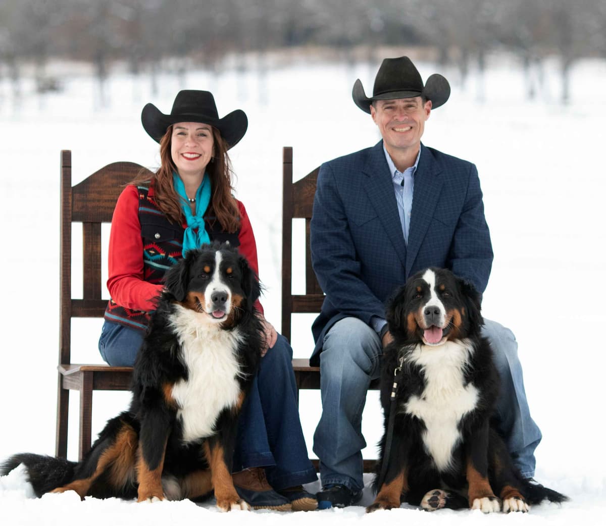 Moyen Poodle Puppies in Texas breeder image 1