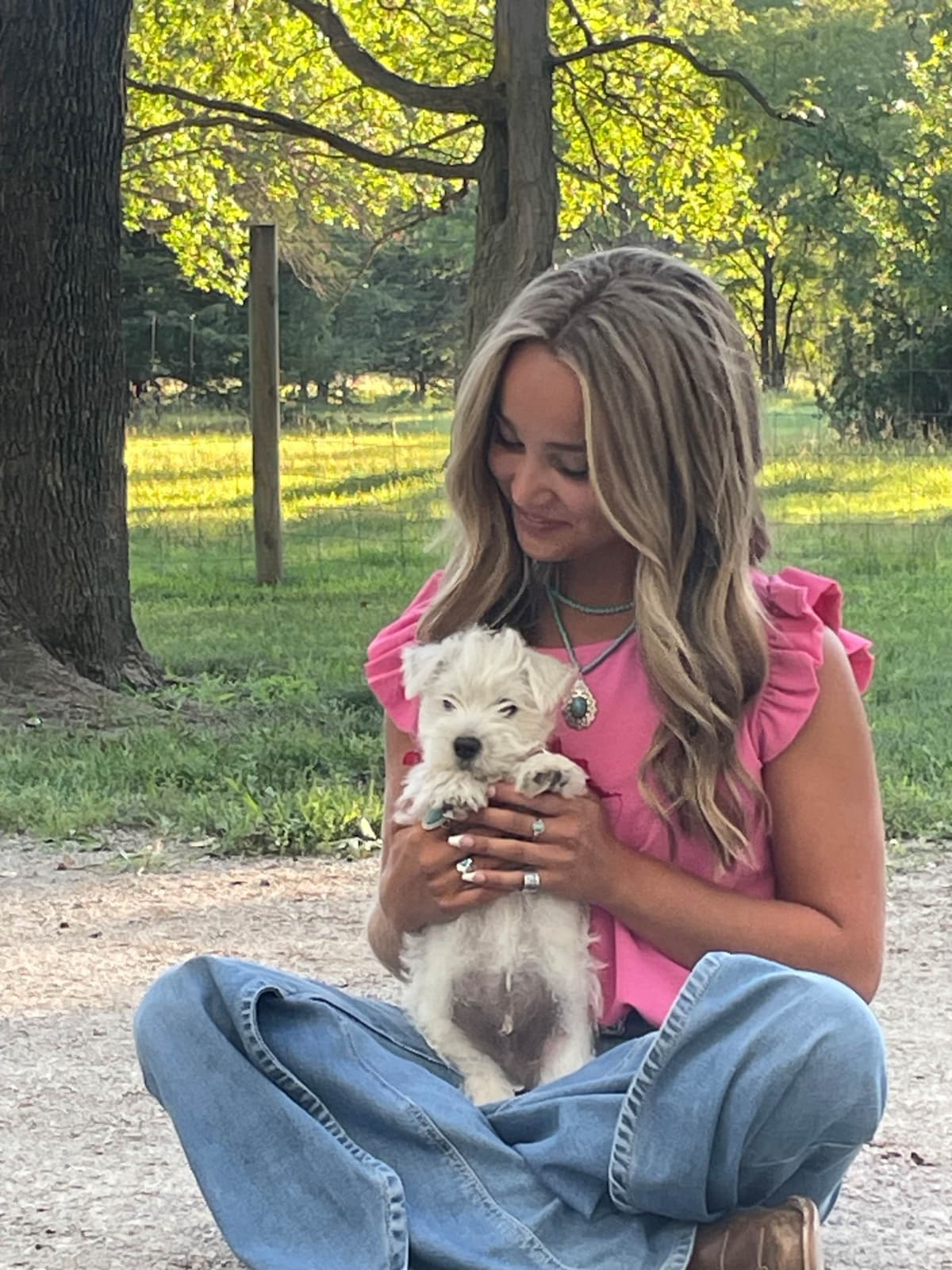 West Highland White Terrier Puppies breeder image 3