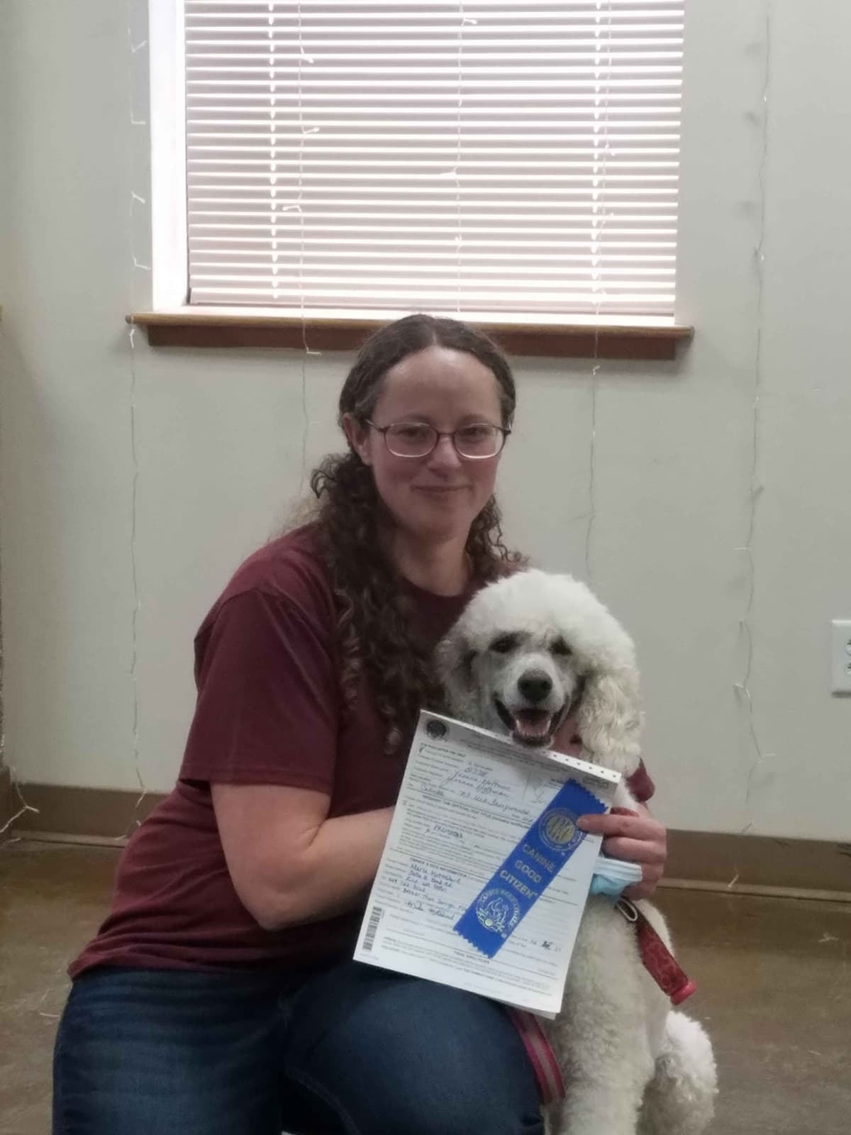 Sable Standard poodle breeder image 2