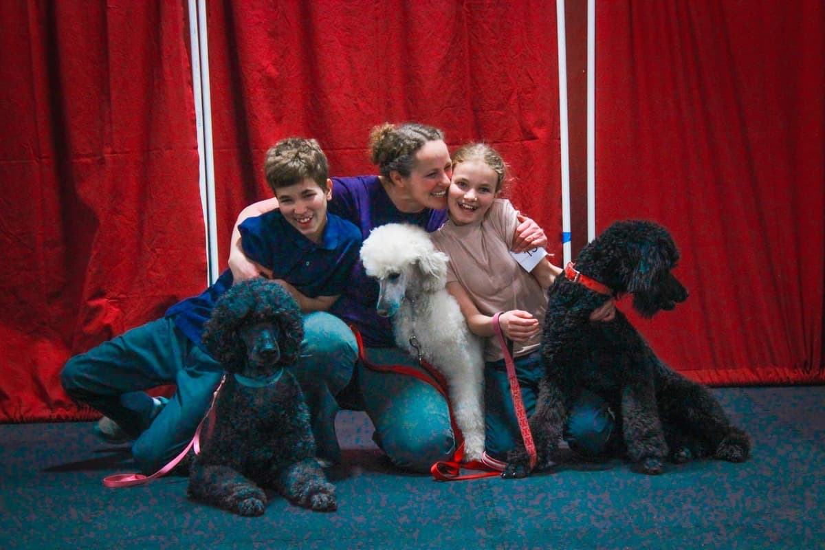 Sable Standard poodle breeder image 1