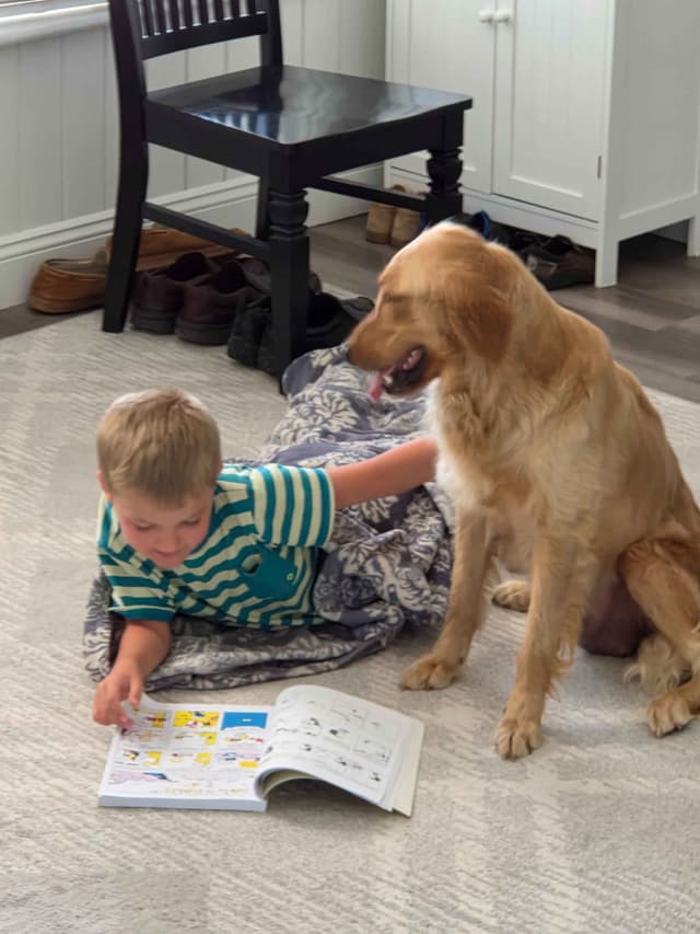 Highlanders Goldens of Howell media 4