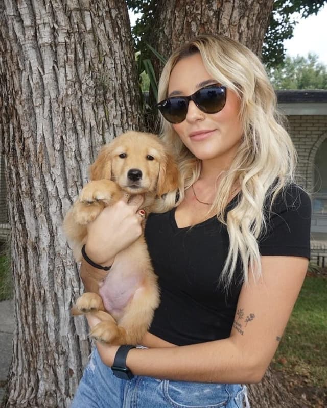 💛 Golden Retriever Pups OFA, Health Guar. Veterinarian owned/bred media 9