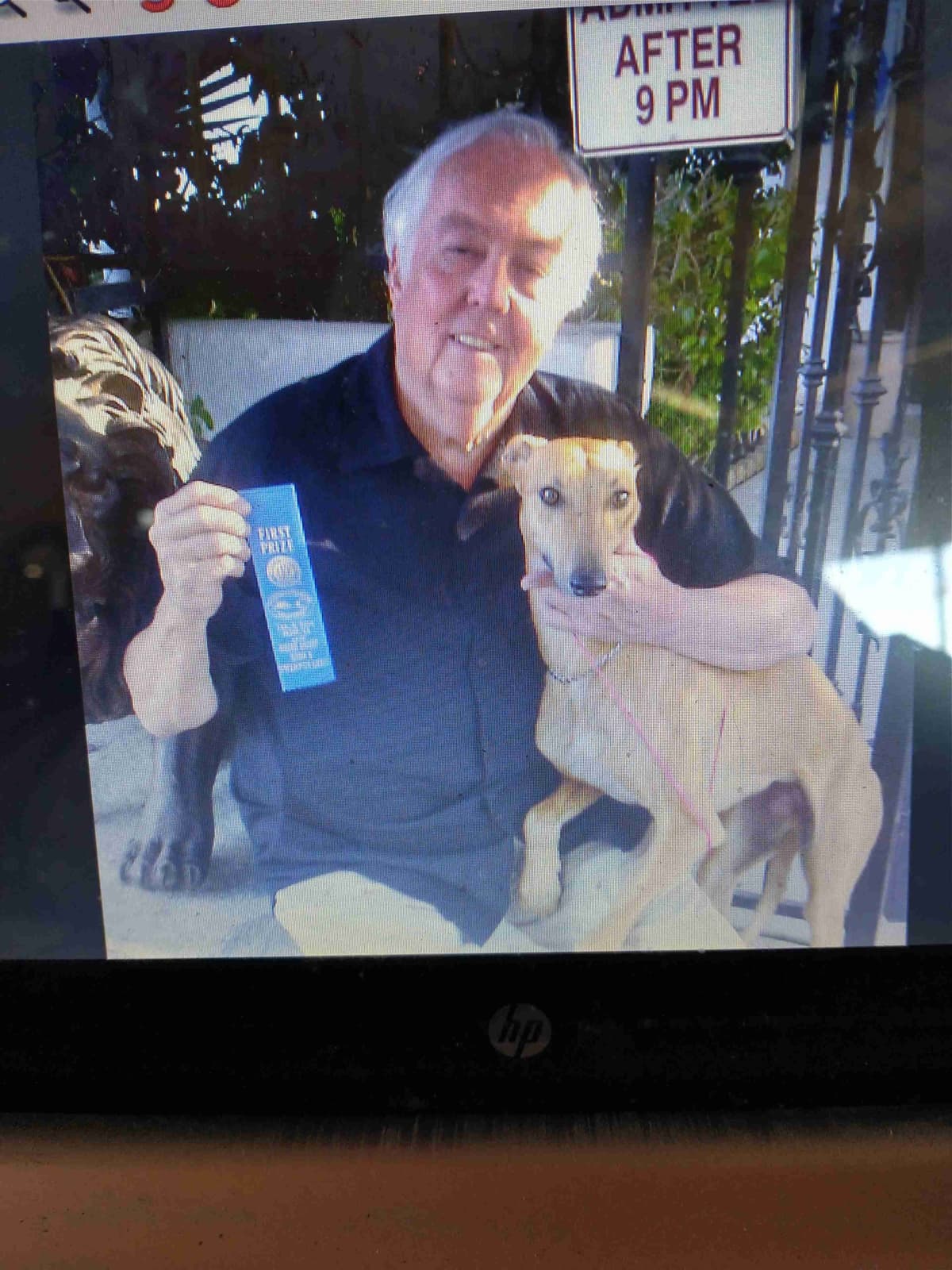 Greyhound Puppies breeder image 13