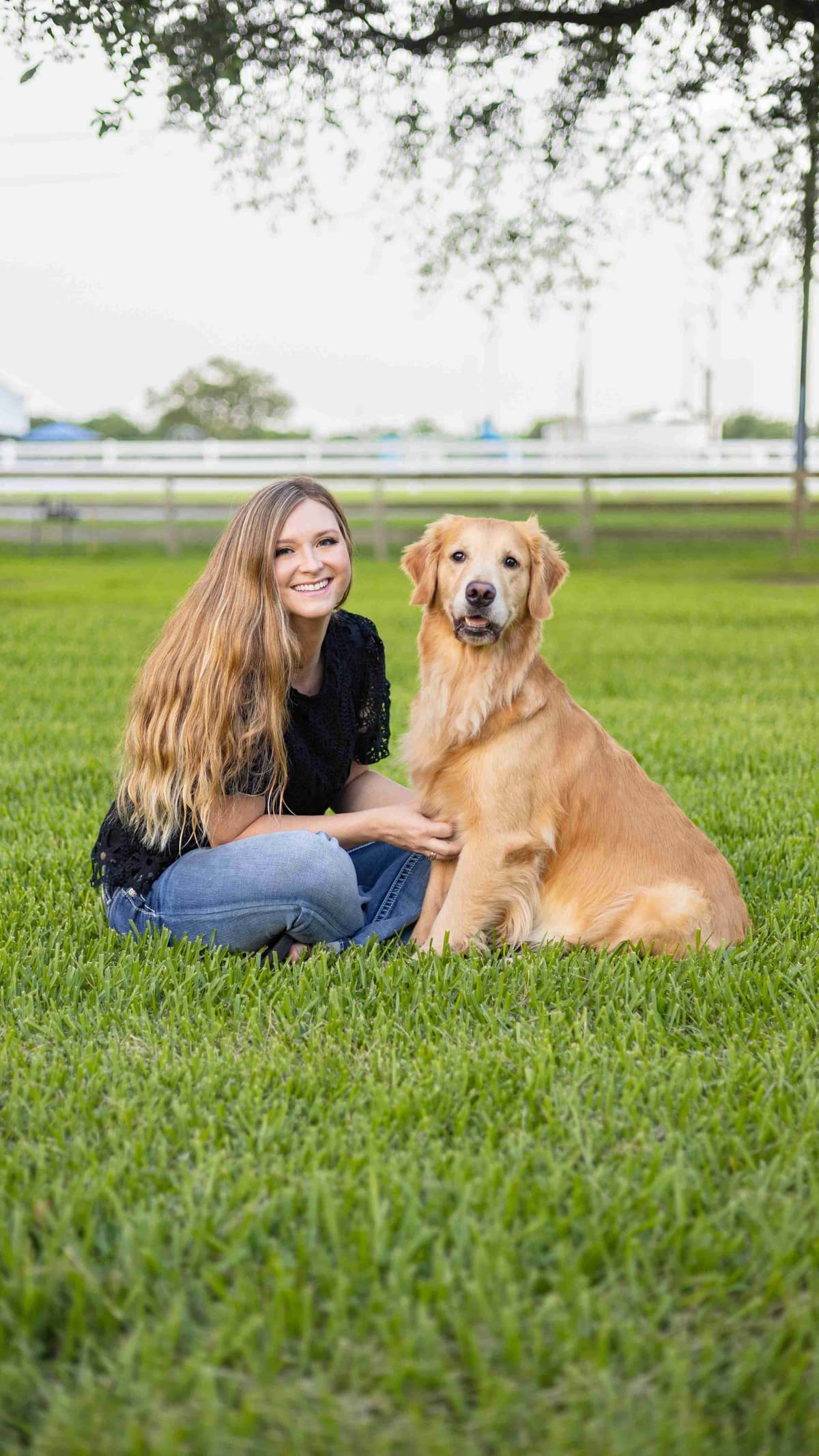 Golden Retriever Puppies breeder image 4