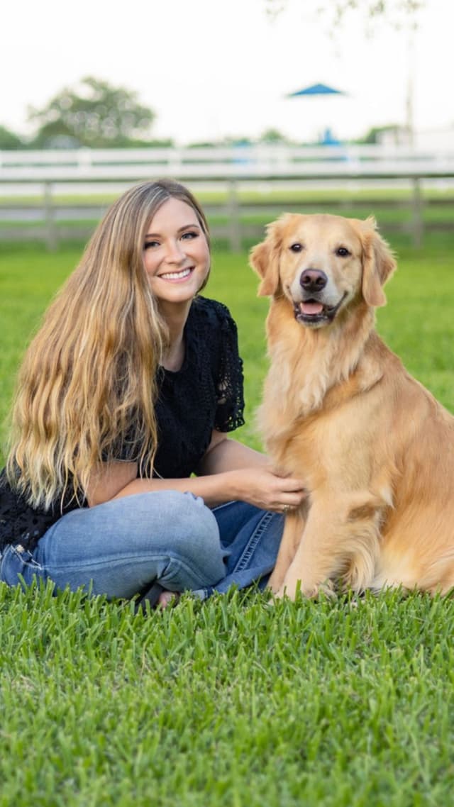 Golden Retriever Puppies media 5