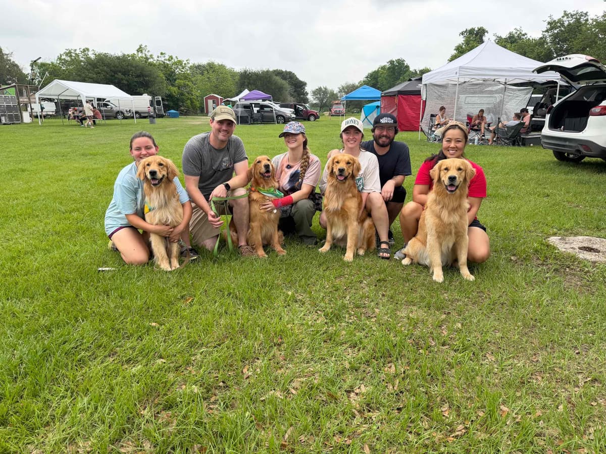 Golden Retriever Puppies breeder image 16