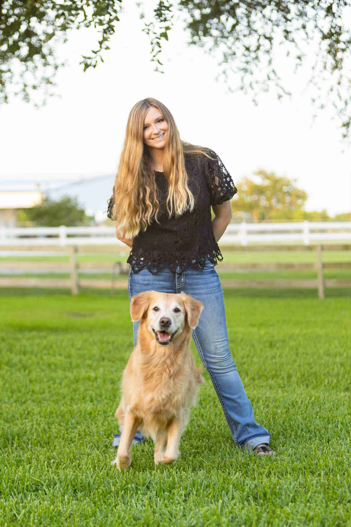 Golden Retriever Puppies breeder image 20
