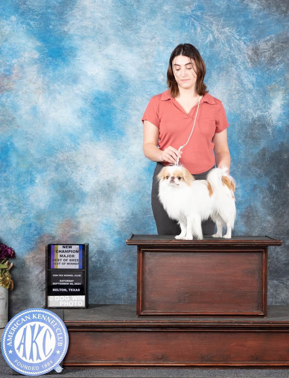 Japanese Chin Puppies breeder image 6