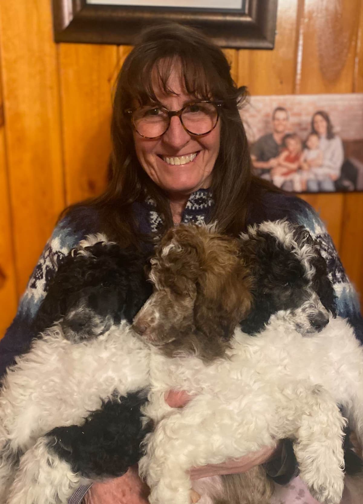 Miniature Schnauzer Puppies breeder image 17