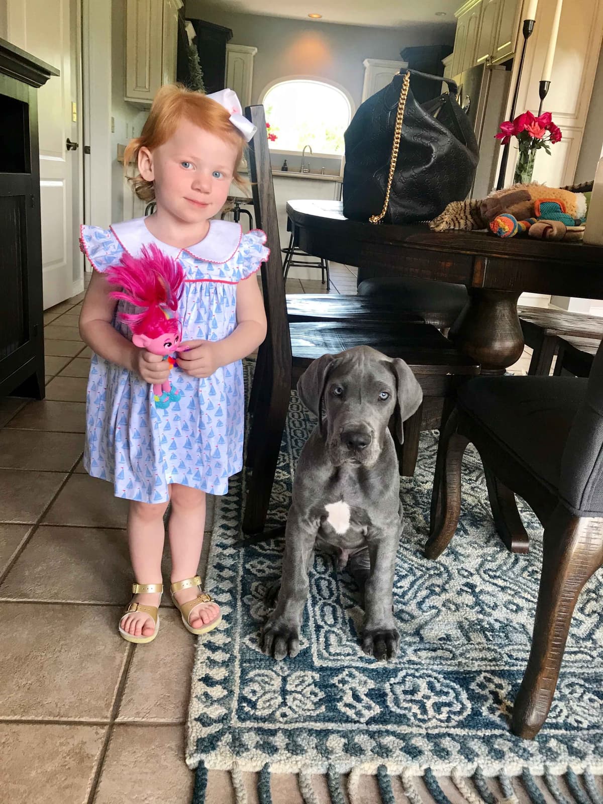 Family-Raised AKC Great Dane Puppies, Born April 21, 2026 breeder image 27