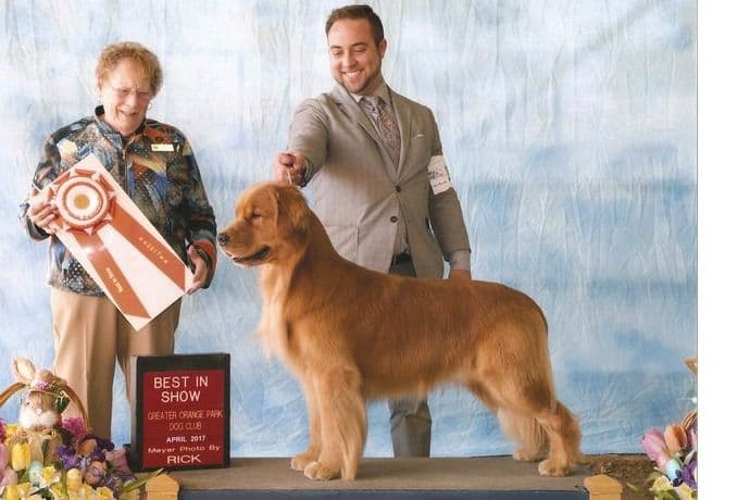 coswalds.com breeder image 12