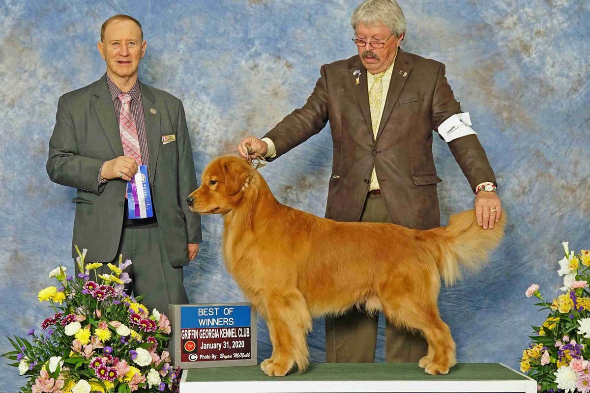 coswalds.com breeder image 20