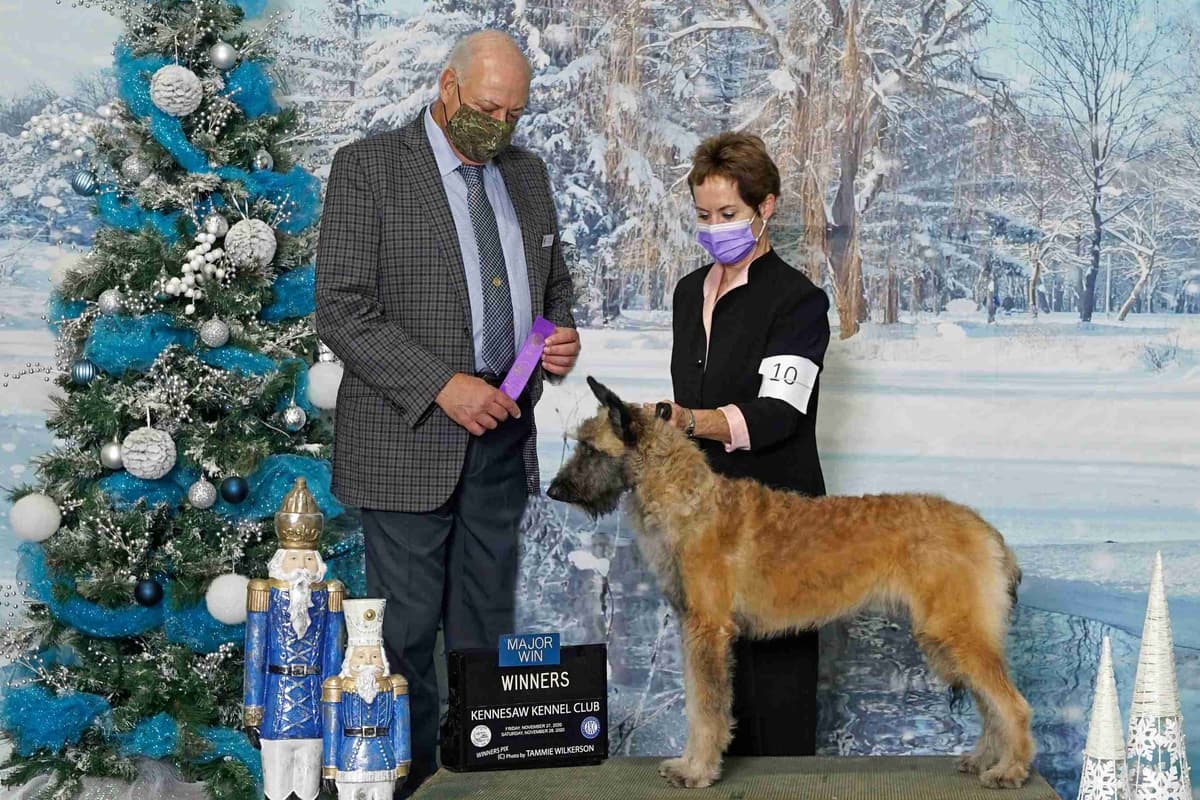 coswalds.com breeder image 3