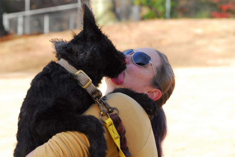 coswalds.com breeder image 27