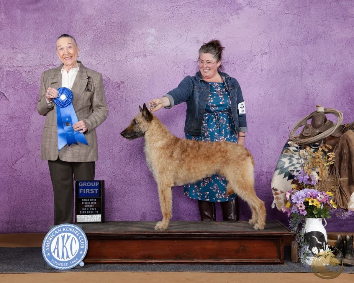 coswalds.com breeder image 2