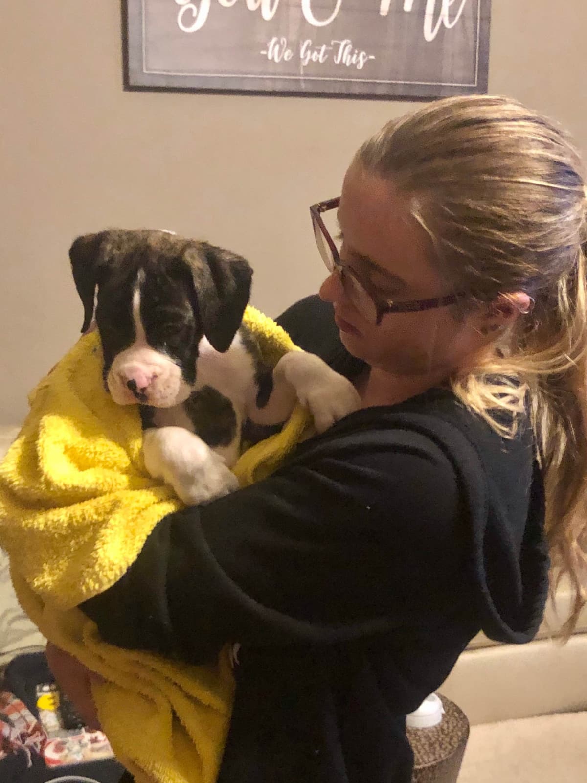 Bethlehem Boxers breeder image 25