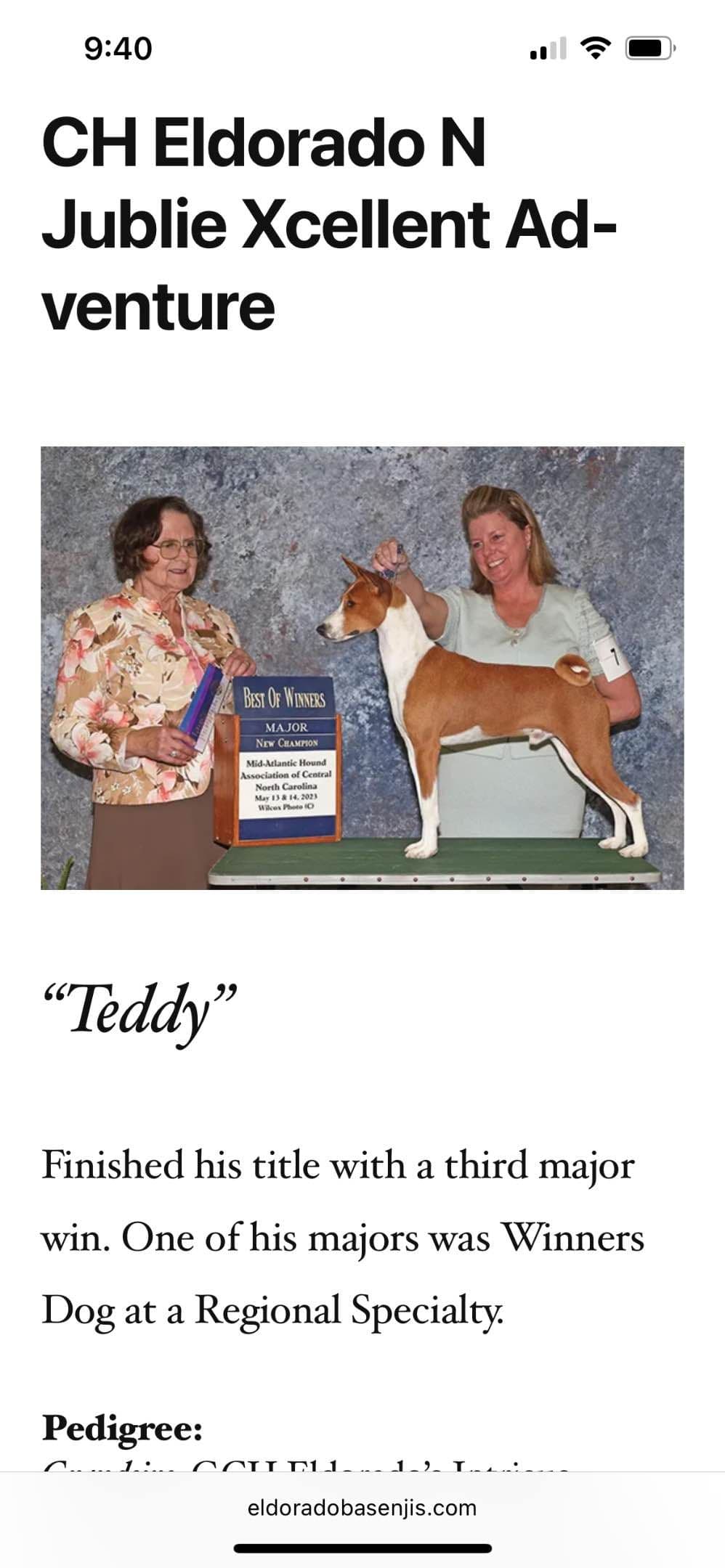 Basenji Puppies breeder image 3
